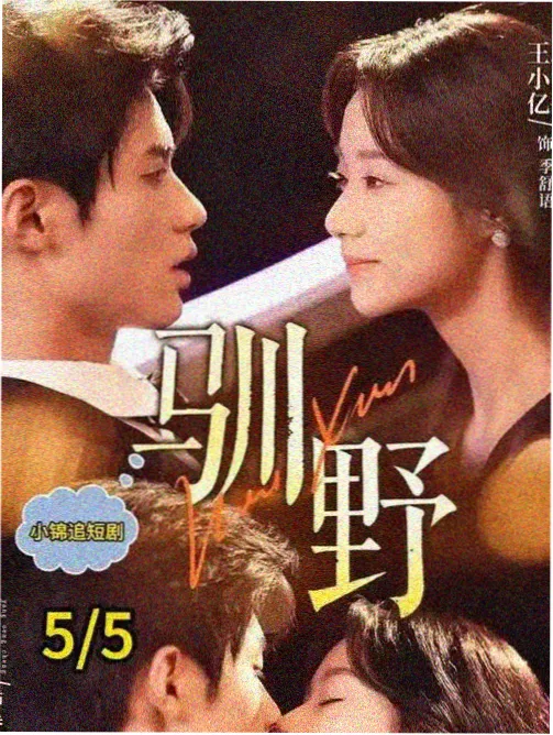 剧集资料条目与分集核对表并排展示的示意图